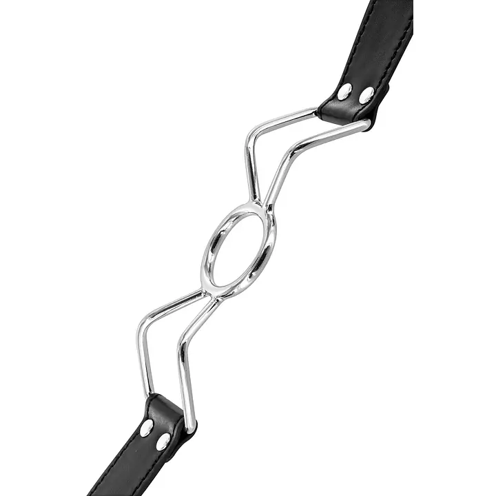 Кляп з кільцем Fetish Tentation Spider Gag - Master