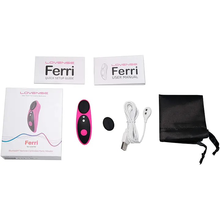 Смарт-вібратор в трусики Lovense Ferri - Master
