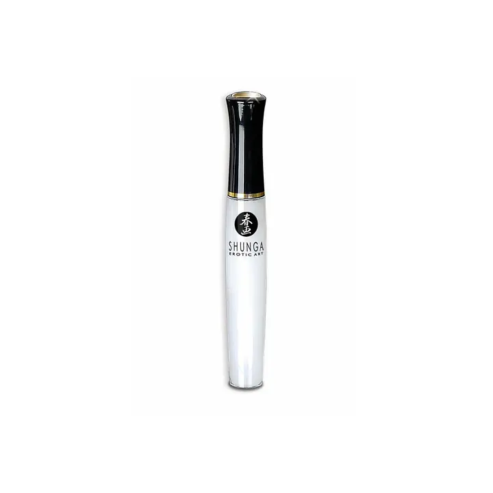Подарунковий набір Shunga Sweet Kisses Kit - Master