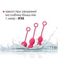 Набір вагінальних кульок зі зміщеним центром ваги Svakom Nova Plum Red - Master