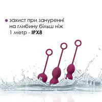 Набір вагінальних кульок зі зміщеним центром ваги Svakom Nova Violet - Master