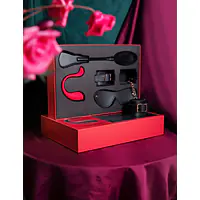 Преміальний подарунковий набір для неї Svakom Limited Gift Box з інтерактивною іграшкою - Master