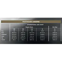 Мінісукня з мереживним ліфом та стрінгами Penthouse - Bedtime Story Black L/XL - Master