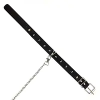 Нашийник з шипами та повідцем Art of Sex - Collar Spikes and Leash - Master