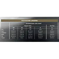 Боді Penthouse Scandalous XL Black, велика сітка, високий комір, довгі рукави - Master