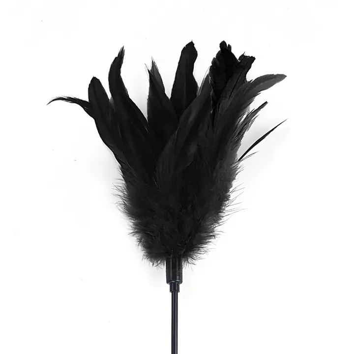 Лоскітка з пером півня Art of Sex – Feather Paddle, чорна - Master