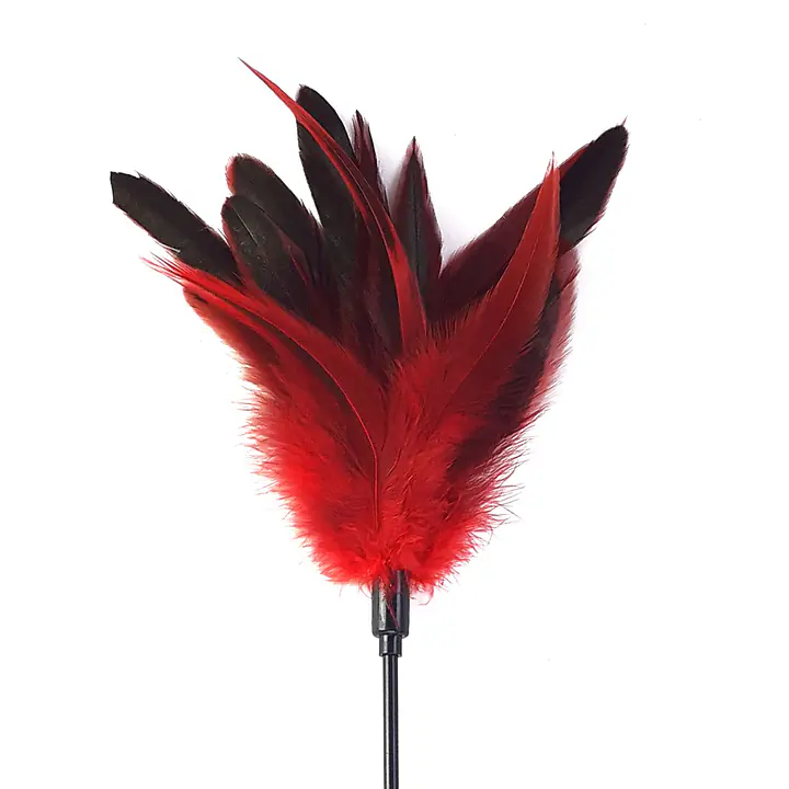 Лоскітка з пером півня Art of Sex – Feather Paddle, червона - Master