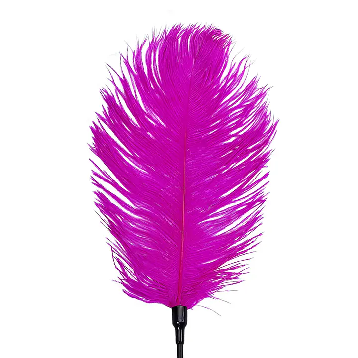 Лоскітка зі страусиним пером Art of Sex – Feather Tickler, темно-рожева - Master