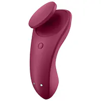 Набір Satisfyer Partner Box 1 (вібратор для пар Double Joy + вібратор у трусики Sexy Secret) - Master