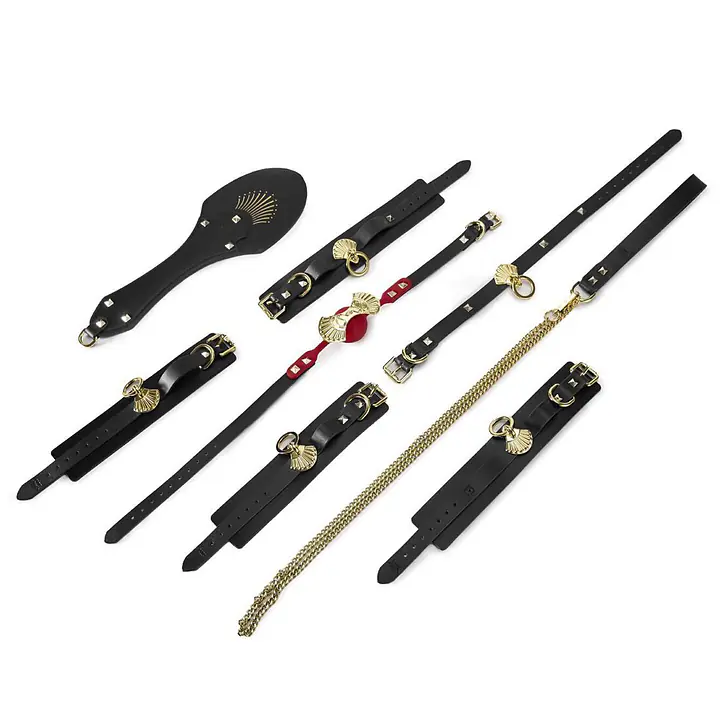 Розкішний набір для BDSM Zalo Bondage Play Kit, 10 аксесуарів у кейсі, шкіра, кристал Swarovski - Master