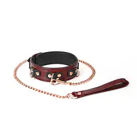 Шкіряний нашийник з повідцем Liebe Seele Wine Red Collar and Leash, 3 кільця для кріплення - Master