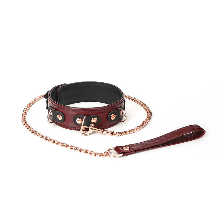 Шкіряний нашийник з повідцем Liebe Seele Wine Red Collar and Leash, 3 кільця для кріплення - Master