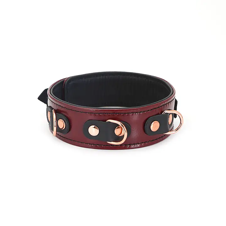 Шкіряний нашийник з повідцем Liebe Seele Wine Red Collar and Leash, 3 кільця для кріплення - Master