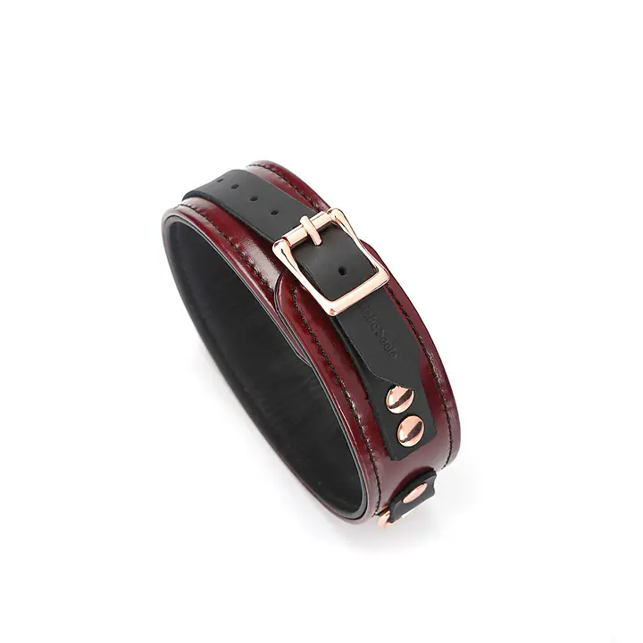 Шкіряний нашийник з повідцем Liebe Seele Wine Red Collar and Leash, 3 кільця для кріплення - Master