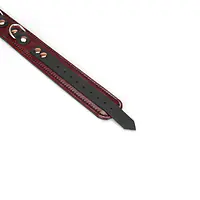 Шкіряний нашийник з повідцем Liebe Seele Wine Red Collar and Leash, 3 кільця для кріплення - Master
