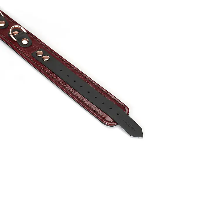 Шкіряний нашийник з повідцем Liebe Seele Wine Red Collar and Leash, 3 кільця для кріплення - Master