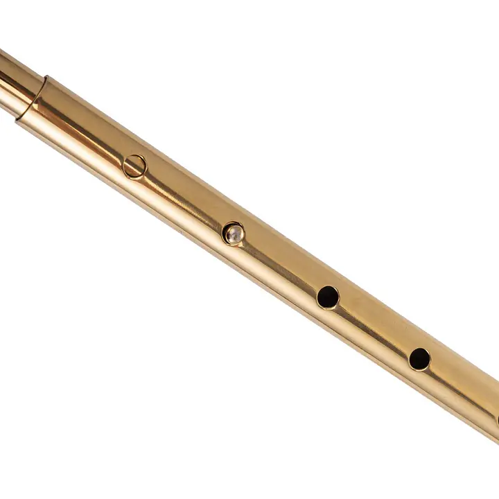 Анальний гак LOCKINK Golden Adjustable Anal Hook Set - Master